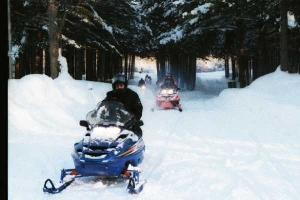 Sleds