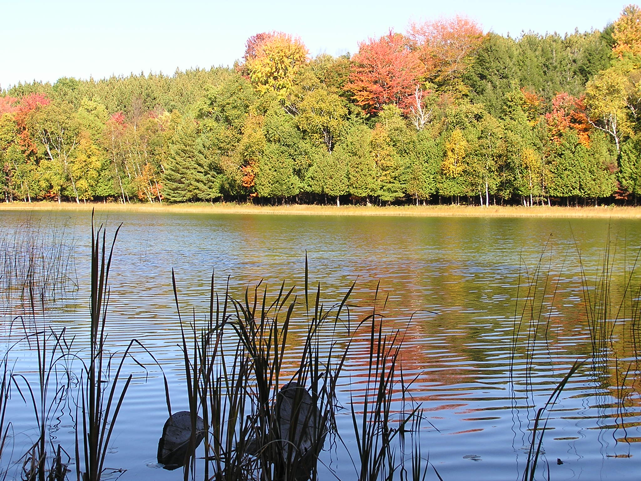 Haynes Lake